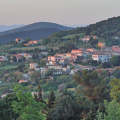 Deer at Miyo Samten Ling