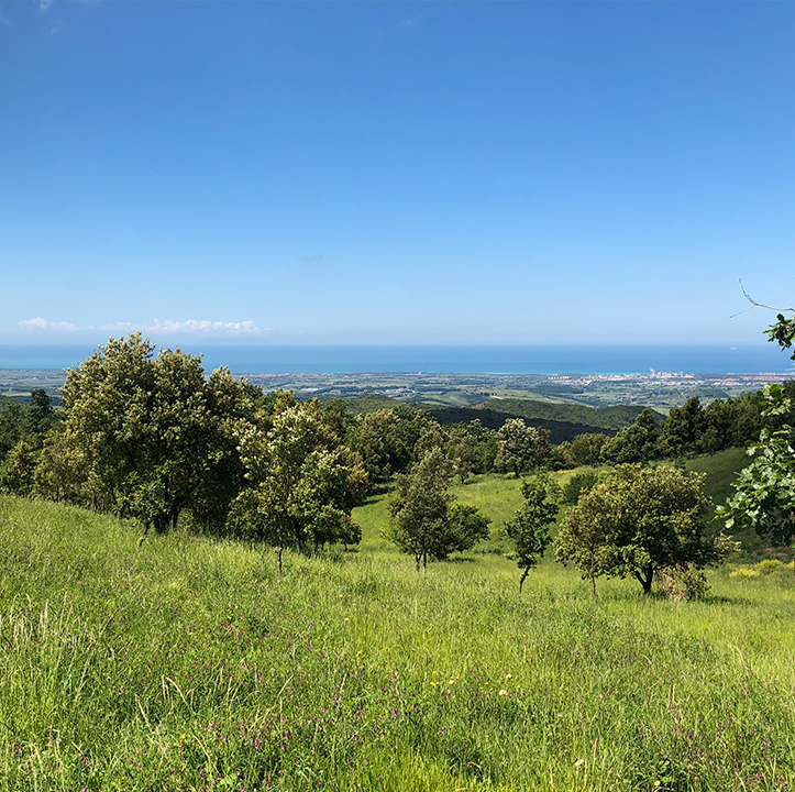 Solitary cabin and landscape at Miyo Samten Ling