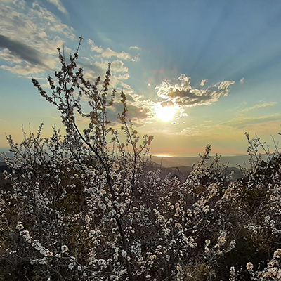 Sunset and solitary cabin at Miyo Samten Ling