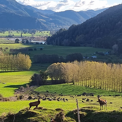 Solitary cabin in the snow at Miyo Samten Ling