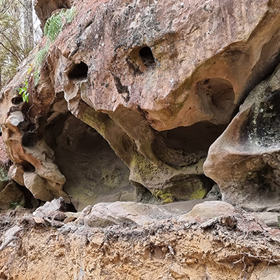 Driftwood and rainbow at Miyo Samten Ling