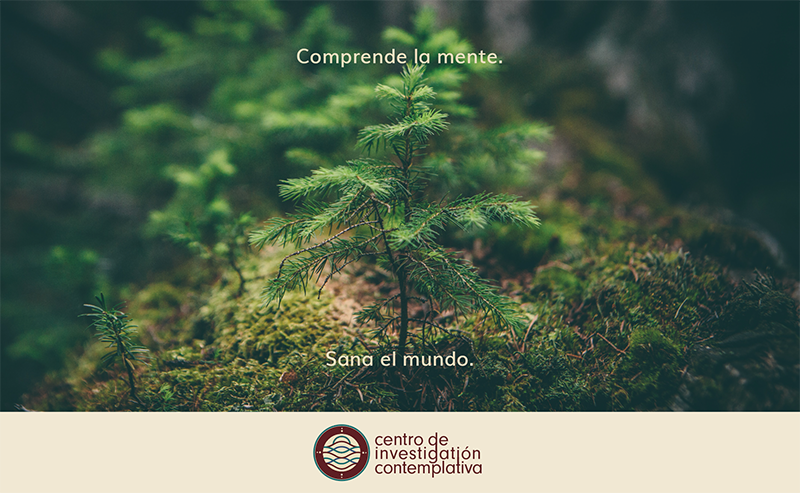 Centro de Investigación Contemplativa